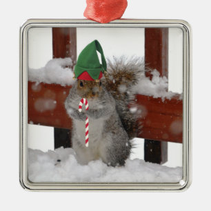 Ornement Carré Argenté Jaunty Squirrel avec l'ornement de Sucre de canne