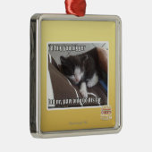 Ornement Carré Argenté Je vous étreindrais plus grands (Droite)