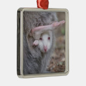 Ornement Carré Argenté Joey albinos dans la poche (Droite)