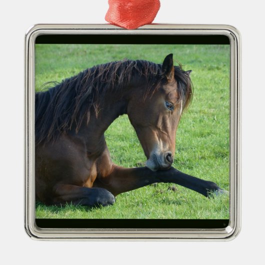 Ornement Carré Argenté Joli Cheval Brown allongé dans l'herbe (Devant)