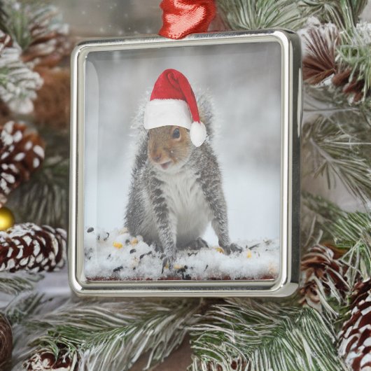 Ornement Carré Argenté Jolly Squirrel with Santa Hat Square Ornament