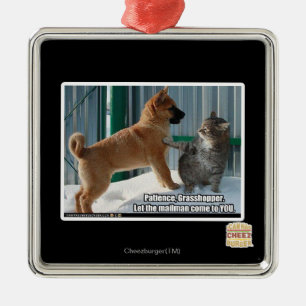 Ornement Carré Argenté La patience, sauterelle