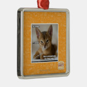 Ornement Carré Argenté La plume est morte (Droite)