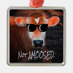 Ornement Carré Argenté La vache dans les lunettes de soleil Pas une MOOse