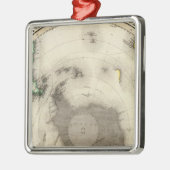 Ornement Carré Argenté L'Antarctique, hémisphère sud (Gauche)