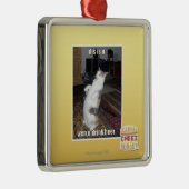 Ornement Carré Argenté le DIS est u (Droite)