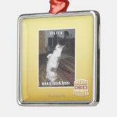 Ornement Carré Argenté le DIS est u (Gauche)