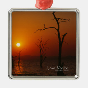 Ornement Carré Argenté Le lac Kariba