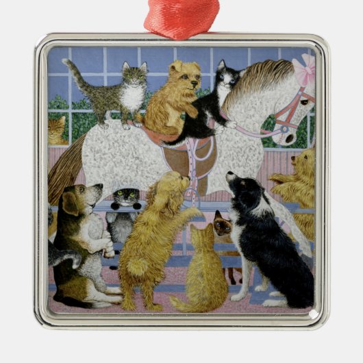 Ornement Carré Argenté Le long de pour le tour (Devant)