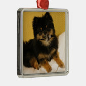 Ornement Carré Argenté Le Pomeranian le plus mignon (Droite)