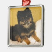 Ornement Carré Argenté Le Pomeranian le plus mignon (Gauche)