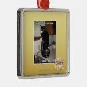 Ornement Carré Argenté le wakin UV de la meilleure partie (Droite)