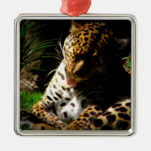 Ornement Carré Argenté Leopard de bain (Devant)