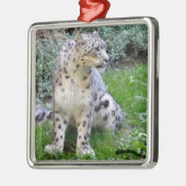 Ornement Carré Argenté léopard des neiges assis sur l'herbe (Gauche)