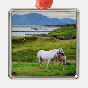 Ornement Carré Argenté Les chevaux de Connemara   Galway, Irlande
