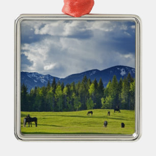 Ornement Carré Argenté Les chevaux paissent dans un pâturage près de Whit