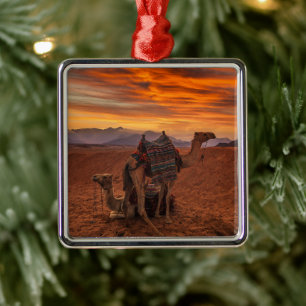 Ornement Carré Argenté Les déserts Bactrial Camel Egypte dune de sable