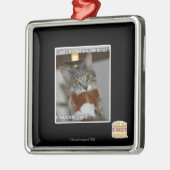 Ornement Carré Argenté Les regards (Gauche)