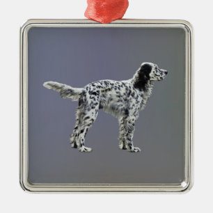 Ornement Carré Argenté Liewellin Setter