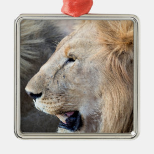 Ornement Carré Argenté Lion Portrait