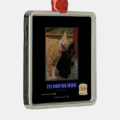 Ornement Carré Argenté L'Irrité (Droite)