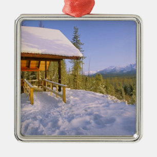 Ornement Carré Argenté location de la cabane USFS Schnauss en hiver surpl