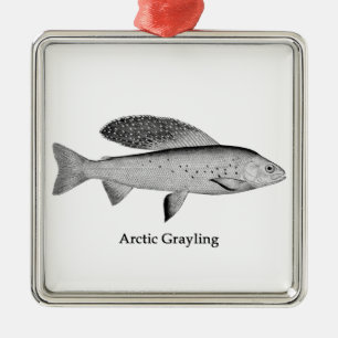 Ornement Carré Argenté Logo Arctic Grayling (art linéaire)