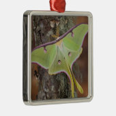 Ornement Carré Argenté Luna Moth en soie (Droite)