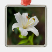 Ornement Carré Argenté Lys blanc crépusculaire (Devant)
