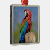 Ornement Carré Argenté Macao à ailes vertes perché (Droite)