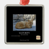 Ornement Carré Argenté Maturité (Devant)