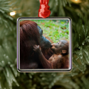 Ornement Carré Argenté Mère orang-outan avec bébé