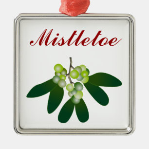 Ornement Carré Argenté Mistletoe