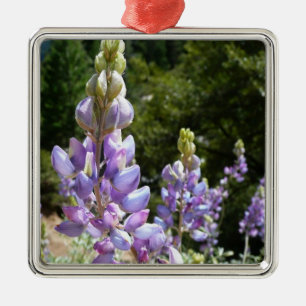 Ornement Carré Argenté Mont Lupins