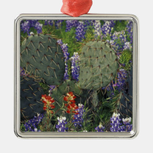 Ornement Carré Argenté N.A., États-Unis, Texas, Cactus entouré de