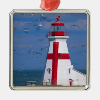 Ornement Carré Argenté NA, Canada, Nouveau-Brunswick, île Campobello. 8
