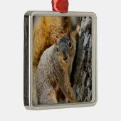 Ornement Carré Argenté Ne viens-tu pas ? (Droite)