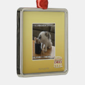 Ornement Carré Argenté N'est pas dépendant à la caféine (Droite)