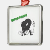 Ornement Carré Argenté Nichols (Gauche)