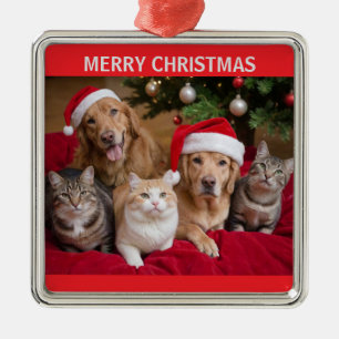 Ornement Carré Argenté Noël des chats et des chiens