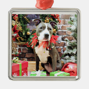 Ornement Carré Argenté Noël - Pitbull - charme