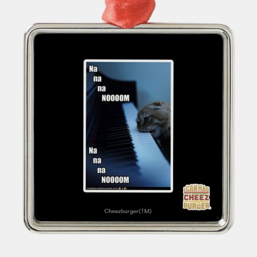 Ornement Carré Argenté Nooom de Na de Na de Na (Devant)