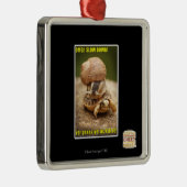 Ornement Carré Argenté OMG ! Ralentissement ! (Droite)