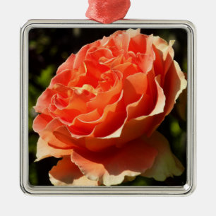 Ornement Carré Argenté Orange Rose II Belle florale