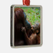 Ornement Carré Argenté Orangutan (Droite)