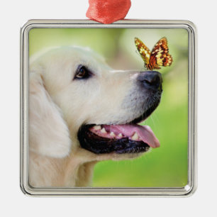 Ornement Carré Argenté Oreiller À Lancer Du Labrador Et Du Papillon