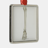 Ornement Carré Argenté Os de la jambe (Droite)