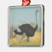 Ornement Carré Argenté Ostrige pour courir (Gauche)