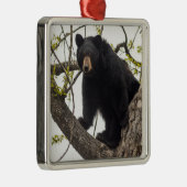 Ornement Carré Argenté Ours noir Escalade (Droite)