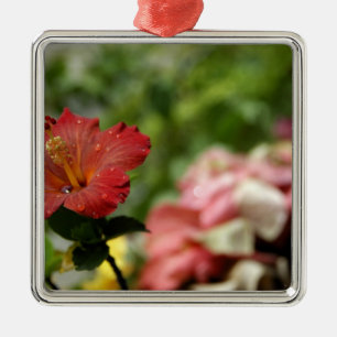 Ornement Carré Argenté Pacifique Sud, Polynésie française, Société 2